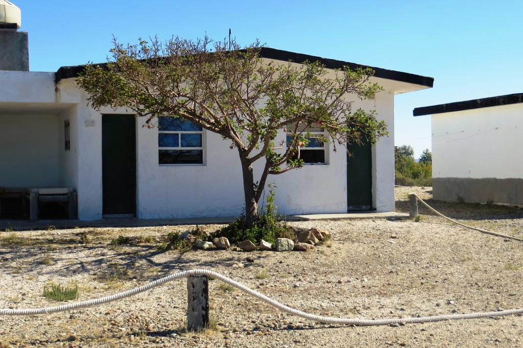 Bahia Bustamante Lodge Bahía Bustamante Quarto foto